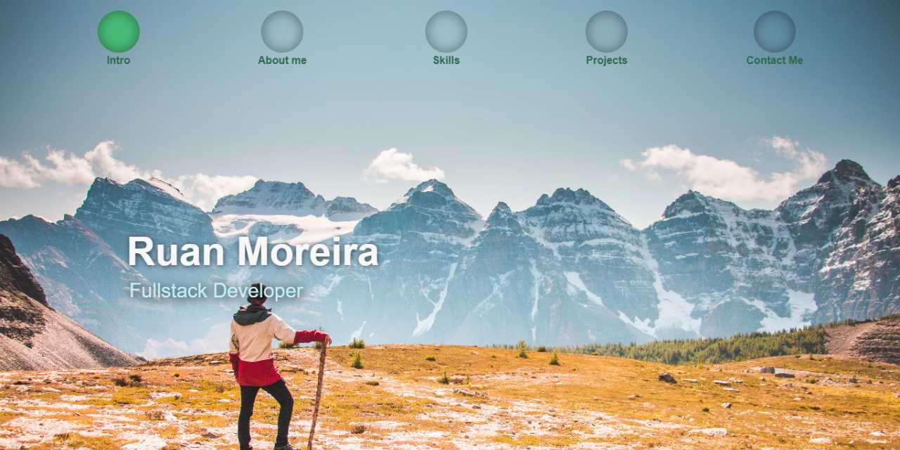Portfolio screenshot